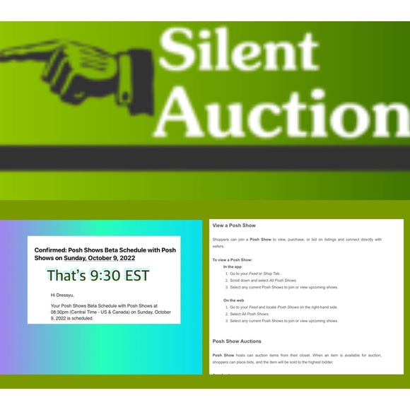 “SOME THIS & SOME THAT” 1/2 HOUR POSH BETA AUCTION - Picture 4 of 5